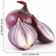red onion Wall Decal