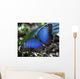 Blue Morpho Butterfly Wall Mural