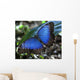 Blue Morpho Butterfly Wall Mural