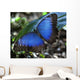 Blue Morpho Butterfly Wall Mural