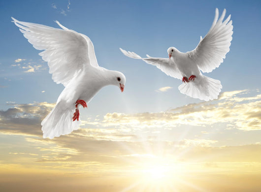 Two Dove Wall Mural