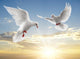 Two Dove Wall Mural