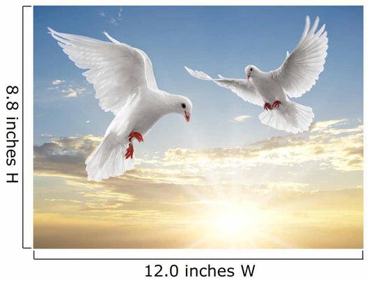 Two Dove Wall Mural