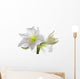 Amarillis Wall Decal