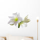 Amarillis Wall Decal