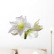 Amarillis Wall Decal