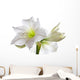 Amarillis Wall Decal