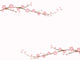 Sakura Cherry Blossom Wall Decal Sticker Set