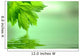 Lime Green Leaves Wall Mural