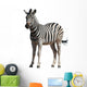 Zebra Wall Decal Design 3