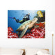 Green Turtle Underwater Wall Decal Design 2