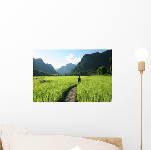 Rice Fields and Mountains Wall Decal