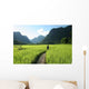 Rice Fields and Mountains Wall Decal