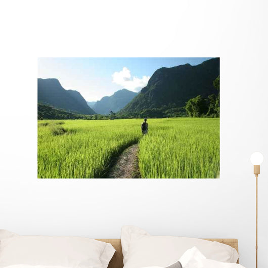 Rice Fields and Mountains Wall Decal