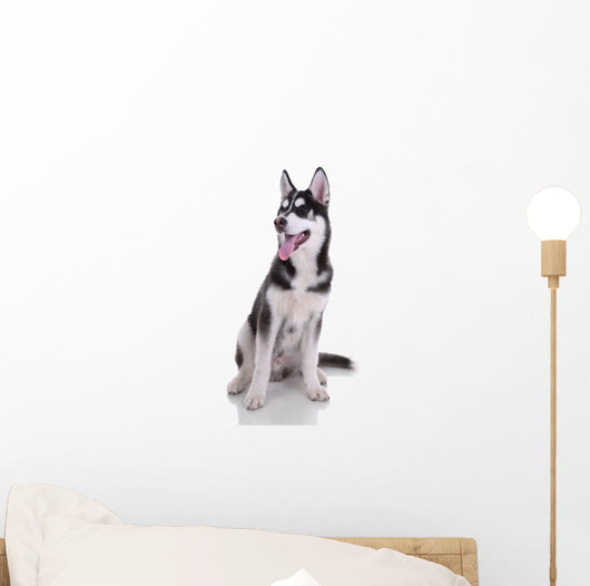 Siberian Husky Dog Wall Decal