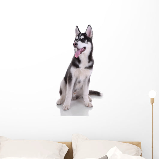 Siberian Husky Dog Wall Decal
