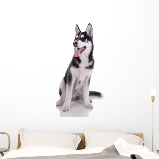 Siberian Husky Dog Wall Decal