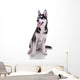 Siberian Husky Dog Wall Decal
