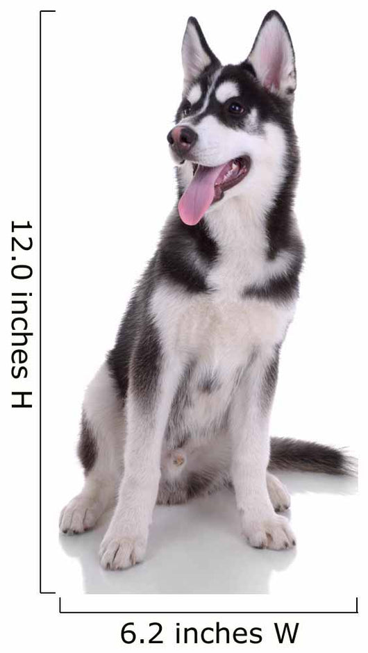 Siberian Husky Dog Wall Decal