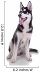 Siberian Husky Dog Wall Decal