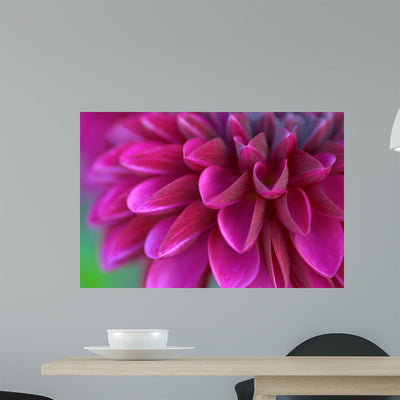 Flowers Wall Mural shown on a wall