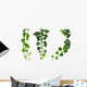 Three Green Ivy Branches Wall Decal Sticker Set