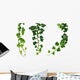 Three Green Ivy Branches Wall Decal Sticker Set