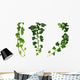 Three Green Ivy Branches Wall Decal Sticker Set