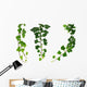 Three Green Ivy Branches Wall Decal Sticker Set