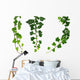 Three Green Ivy Branches Wall Decal Sticker Set