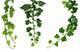 Three Green Ivy Branches Wall Decal Sticker Set