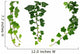 Three Green Ivy Branches Wall Decal Sticker Set