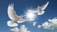 Two Flying Doves Wall Mural