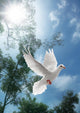 White Dove Flying Wall Mural