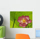 Pink Lotus Under Lotus Leaf Canopy Wall Mural