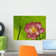Pink Lotus Under Lotus Leaf Canopy Wall Mural