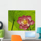 Pink Lotus Under Lotus Leaf Canopy Wall Mural