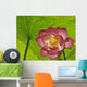 Pink Lotus Under Lotus Leaf Canopy Wall Mural
