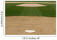 Professional Baseball Infield Wall Mural