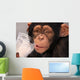 Thirsty Chimp Wall Mural