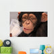 Thirsty Chimp Wall Mural