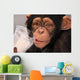 Thirsty Chimp Wall Mural