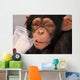 Thirsty Chimp Wall Mural