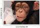 Thirsty Chimp Wall Mural
