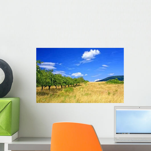 Summer Landscape Wall Decal
