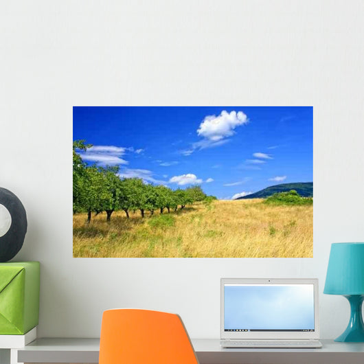 Summer Landscape Wall Decal