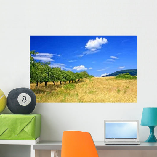 Summer Landscape Wall Decal