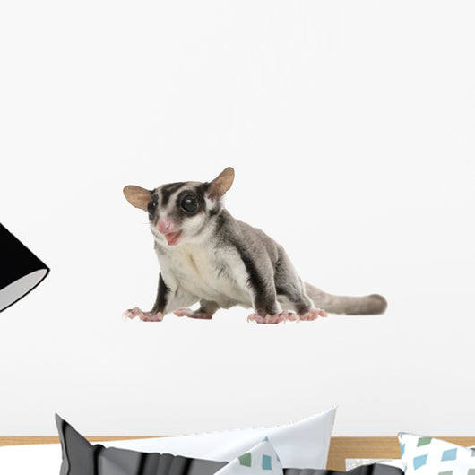 Sugar Glider Wall Decal