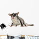 Sugar Glider Wall Decal
