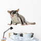 Sugar Glider Wall Decal